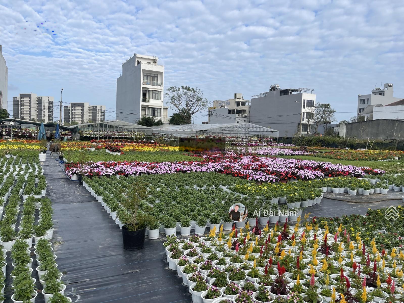 Chính Chủ Cần Bán Lô Đất Đường Thuỷ Sơn ( 7.5m ) kẹp cống . Dt : 125m