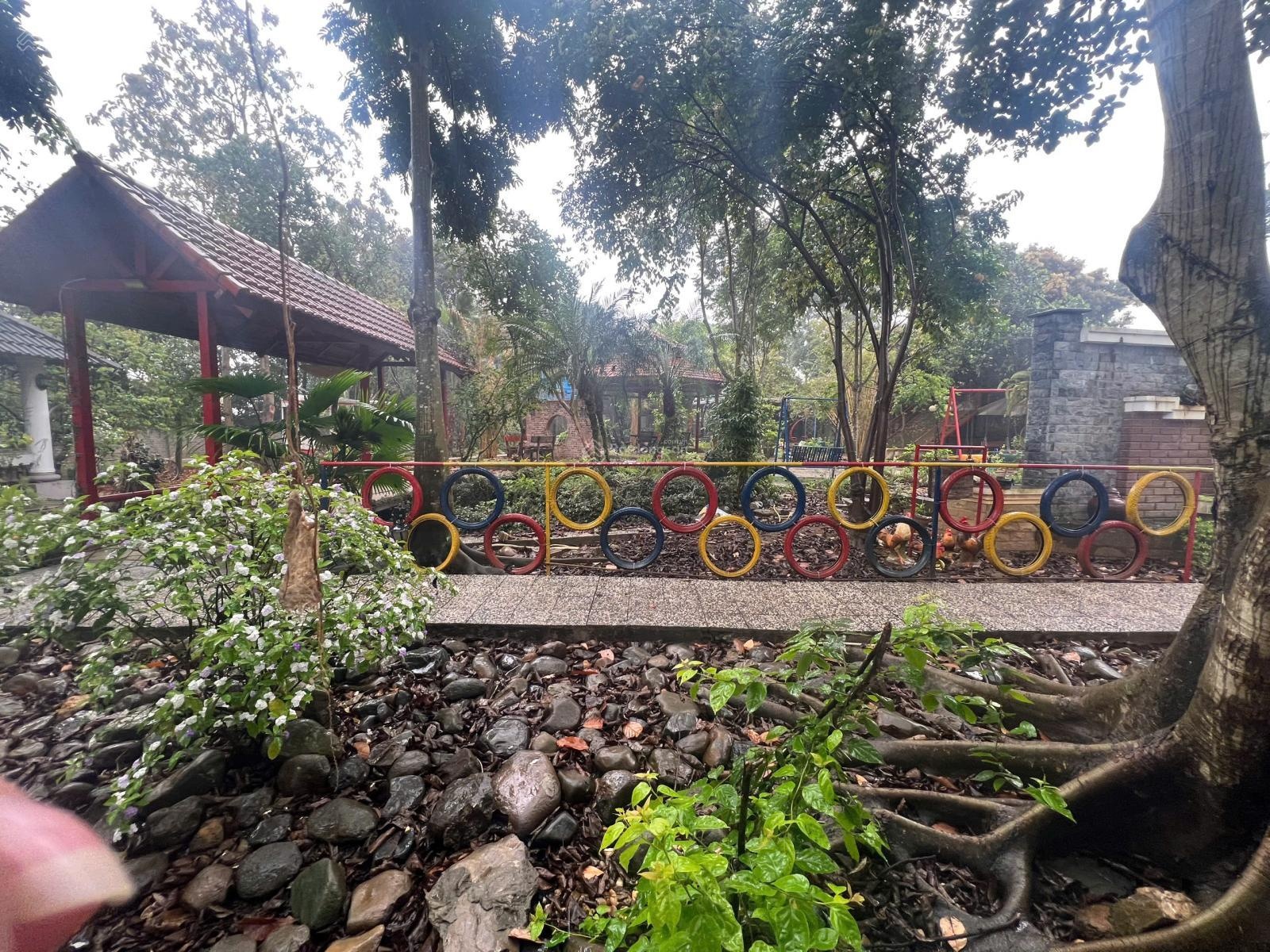 Bán quỹ đất lớn 5.876m2 làm nghỉ dưỡng & phân lô cực tiềm năng tại cổ rùa, phú mãn