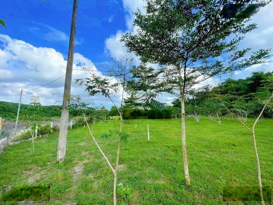 Cần Bán Lô Đất Vườn View Suối Hoà Phú Cực Đẹp 2300m2