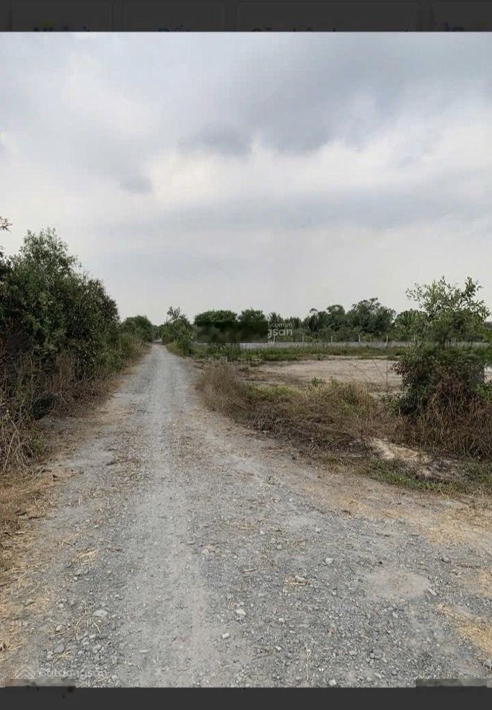 Diện tích 1.035,7m2 - Đất Phú Hòa Đông Củ Chi ngang rộng giá chỉ 1,75 tỷ