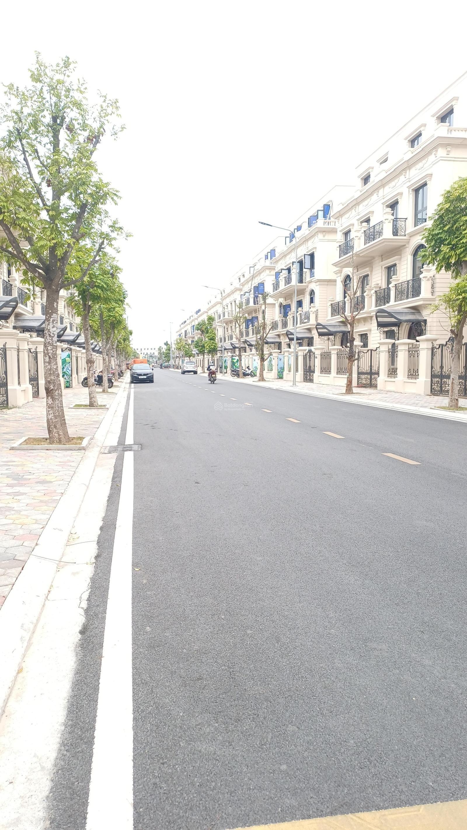 Bán biệt thự song lập đảo vua vinhomes vũ yên