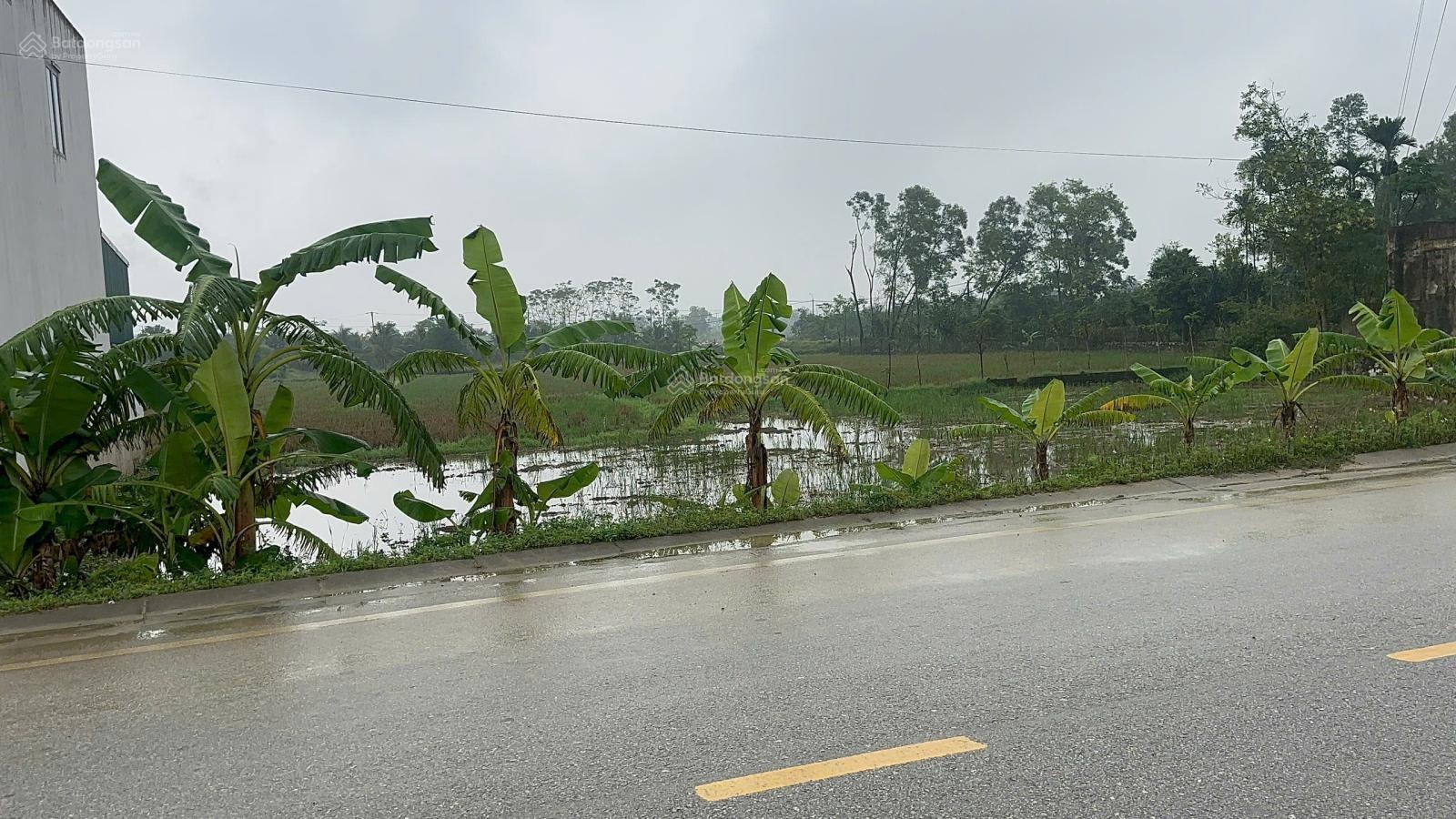 đất xã đông nam huyện đông sơn