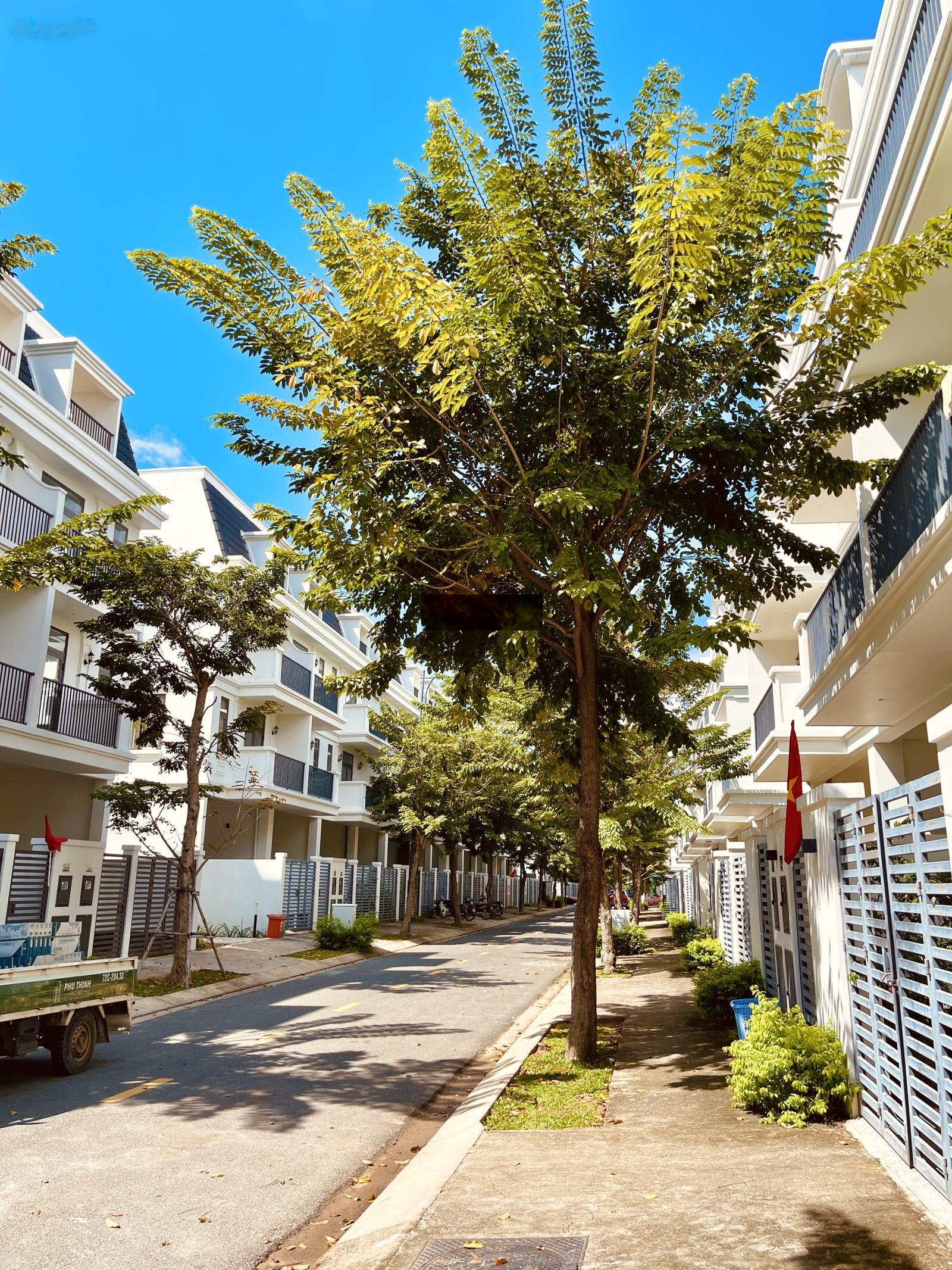 Bán nhà phố La Vida Vũng Tàu ngang 6m, sổ hồng sẵn, 271m2, vị trí trung tâm cực đẹp, giá chỉ 9 tỷ