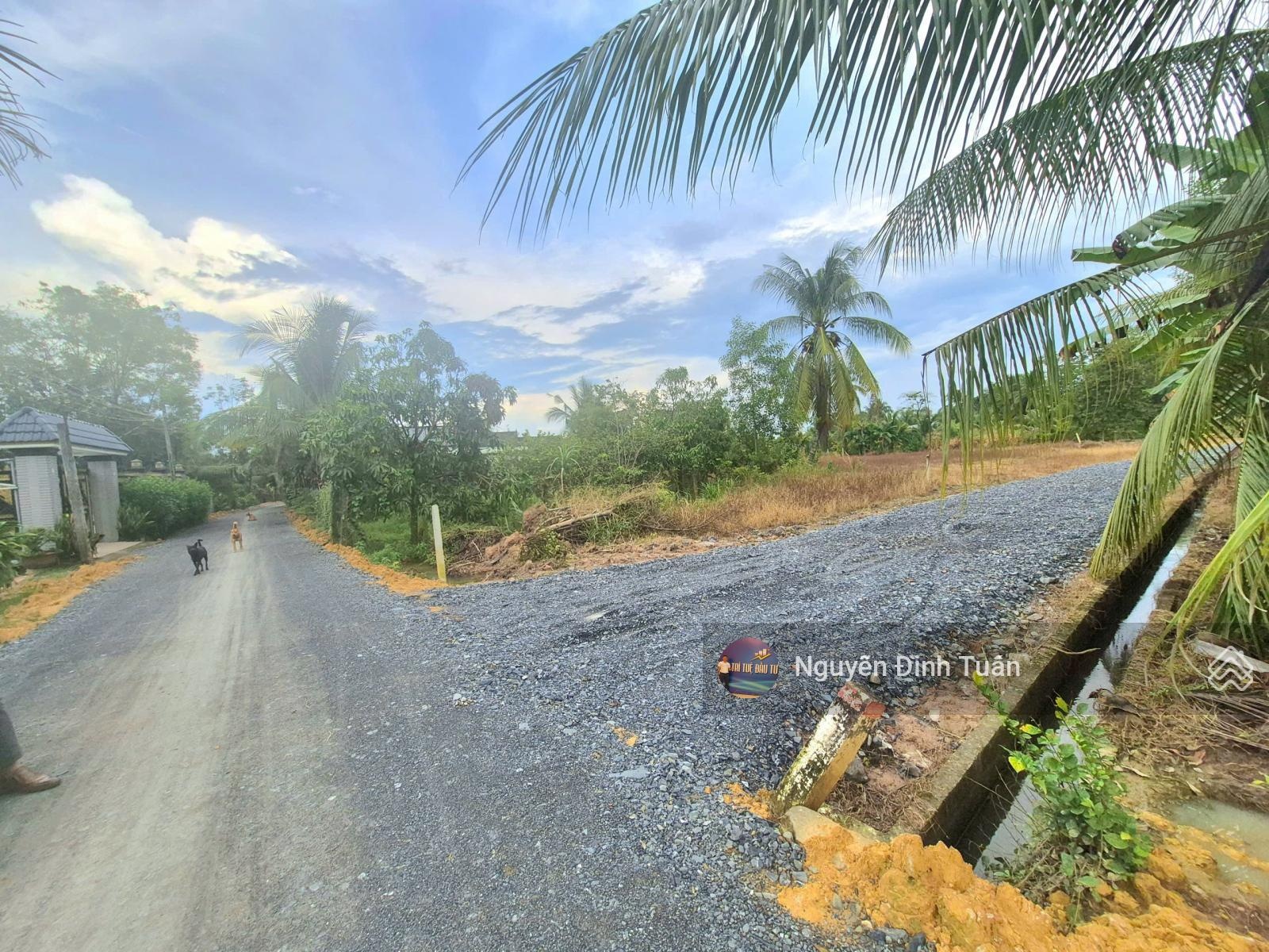 Phước An 8m x 46m (370 m2) đất cây giá chỉ 430 triệu