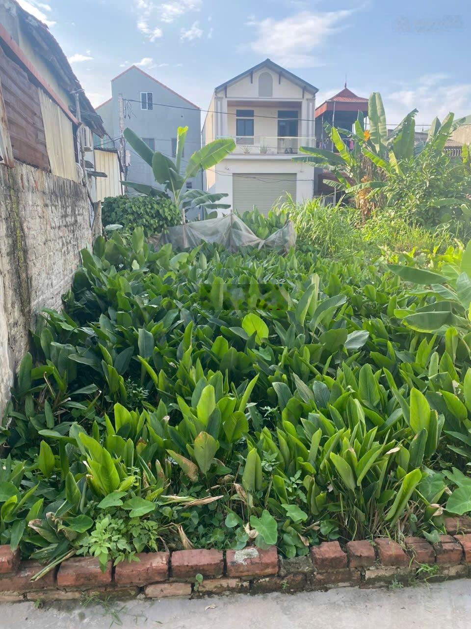 Đan phượng ô tô qua nhà hướng nam 50,6m giá đầu tư