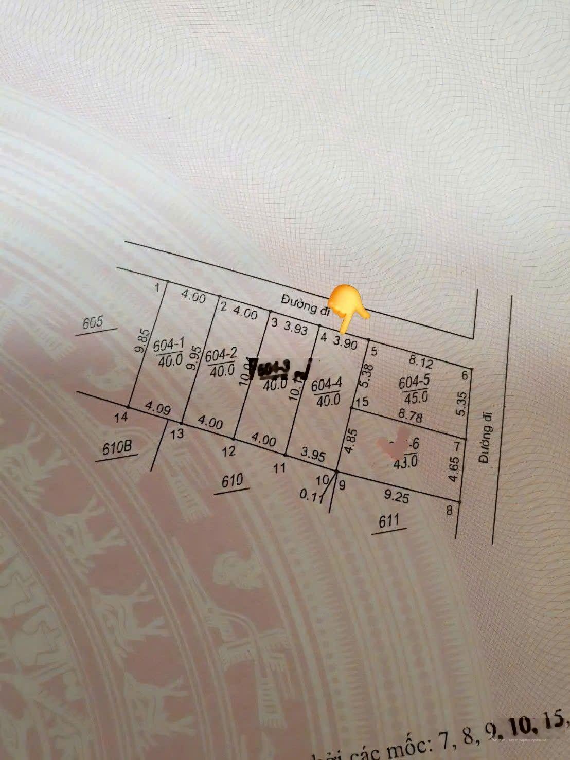 Nhỉnh 4 tỷ đất đẹp Đức Thượng gần Vành Đai 4, Morning vào