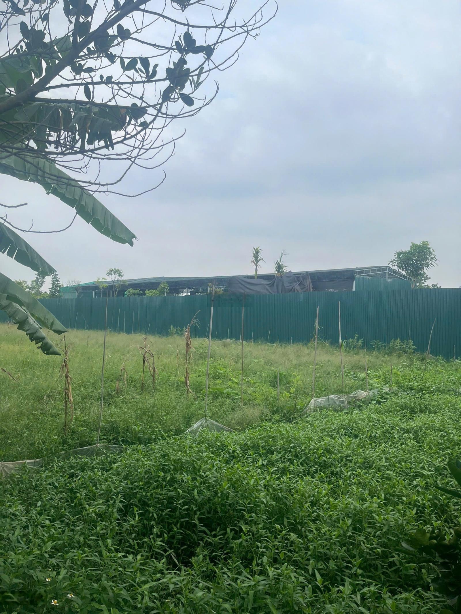 Chính chủ cần bán Đất 50 năm Địa chỉ : xã Nam Phù, (thôn 1 Vạn Phúc, Thanh Trì, Hà Nội)