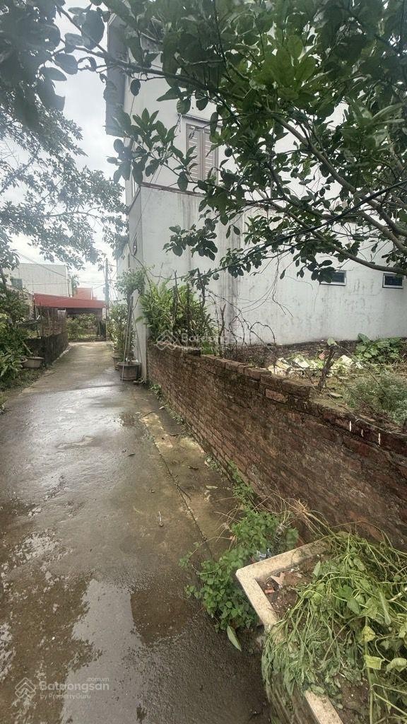 Bán đất lk2 vĩnh tuy liên nghĩa, văn giang, hưng yên mặt tiền 5.4 m . ngõ 3 m