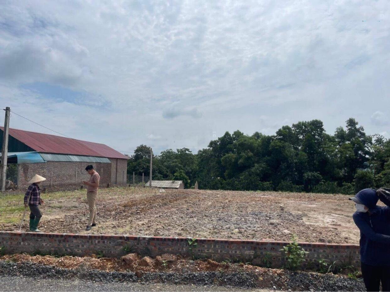 (Cực hiếm) bán đất Cẩm Lĩnh, Ba Vì 2000m2 phân lô, đầu tư nghỉ dưỡng có thể X2 trong 2 năm 6.3 tỷ