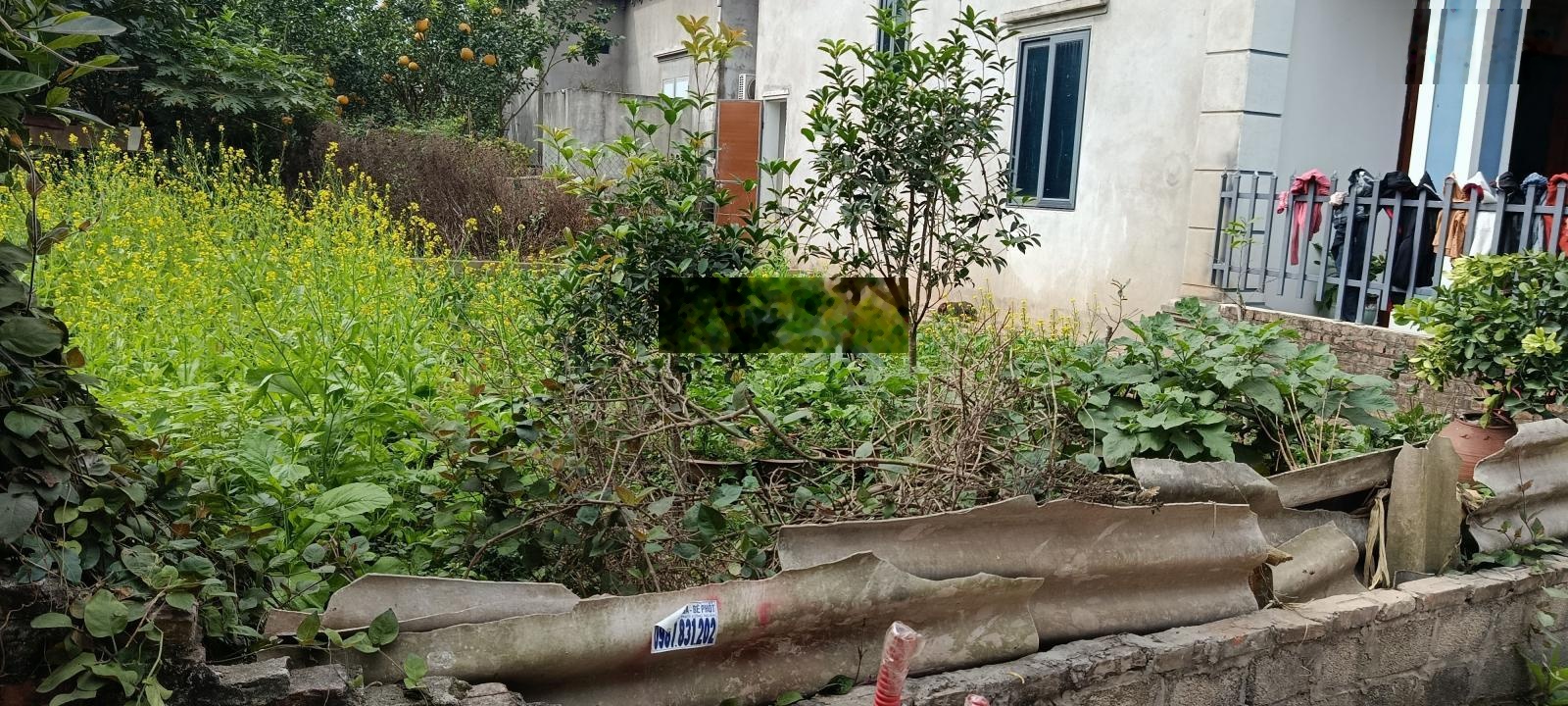 Bán đất thôn hoàng trạch mễ sở, văn giang, hưng yên