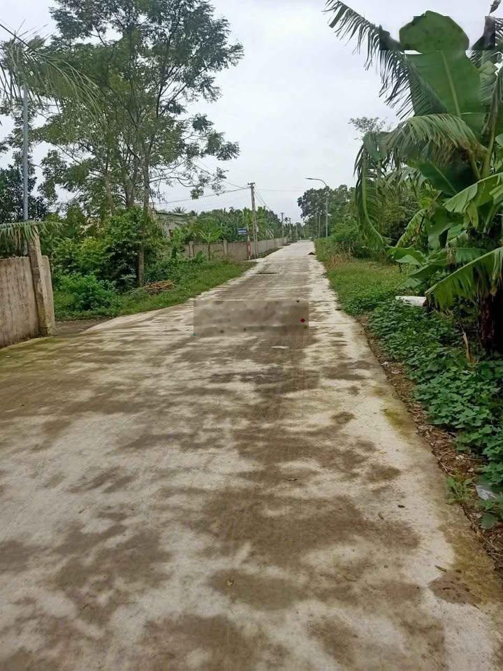 Bán đất - quảng ngọc, thanh hóa