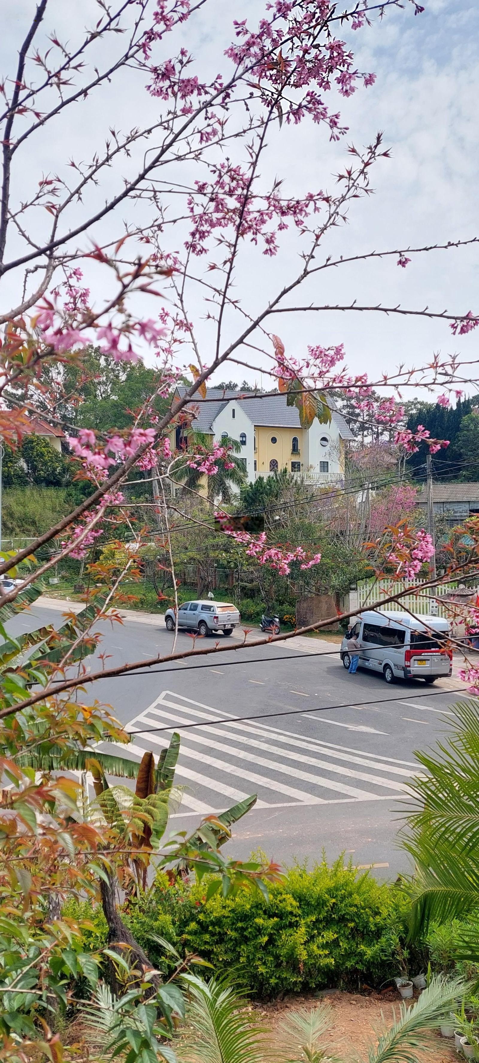 Lô đất Đống Đa- 637m- đường Đống Đa- P3- Đà Lạt- view toàn tp- gần bến xe liên tỉnh Đà Lạt