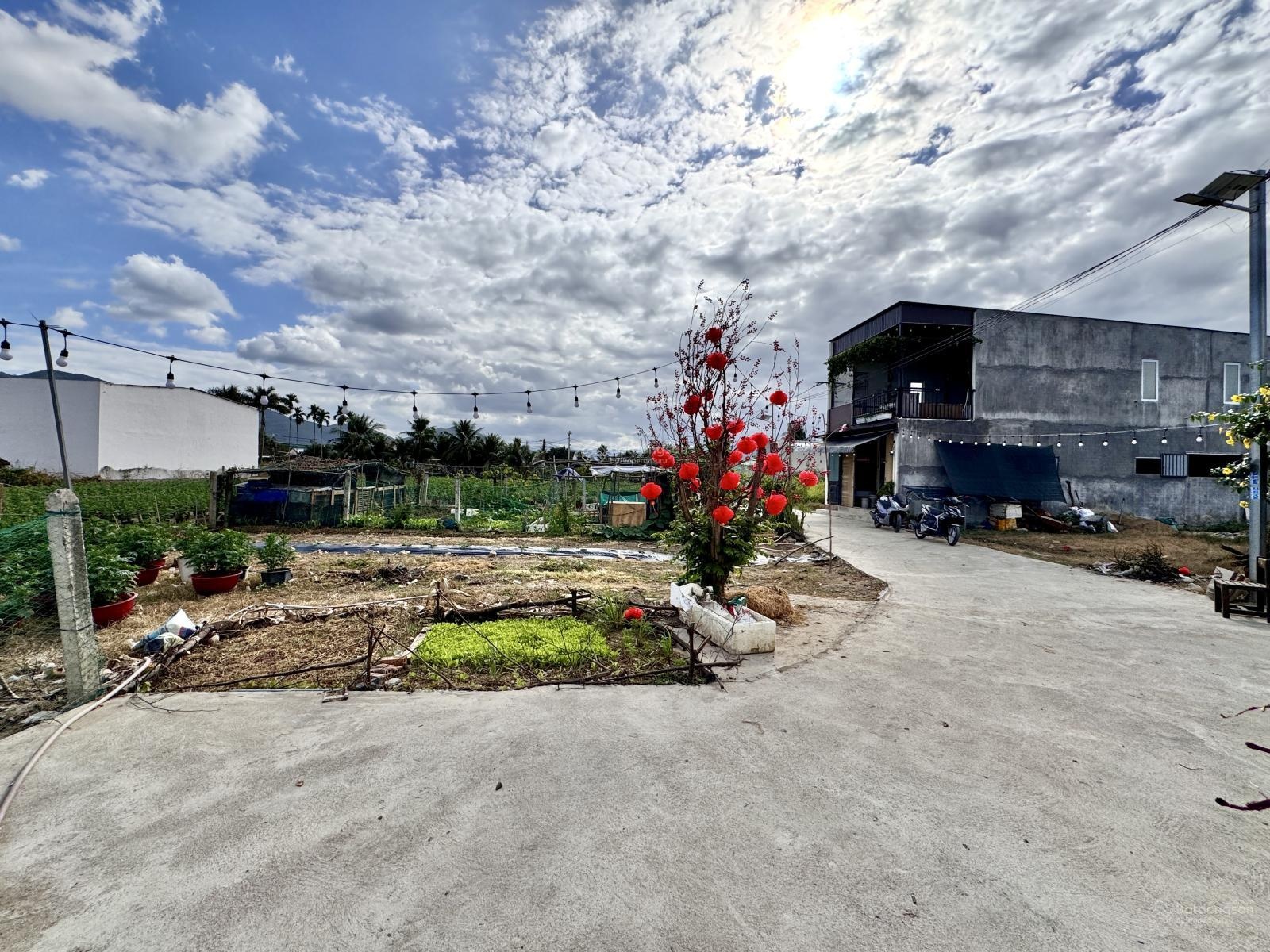 Bán đất Đông Dinh Diên Toàn giá rẻ chỉ 1tỷ099tr