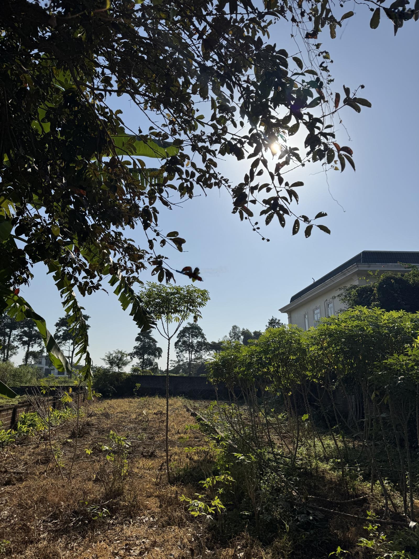 Đất full thổ cư sát tổ hợp y tế