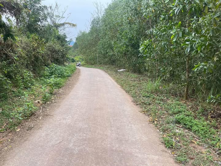 Bán đất 2 mặt tiền, tổng diện tích 6000m2, phù hợp nghỉ dưỡng, giá cần bán gấp chỉ 1,x tỷ