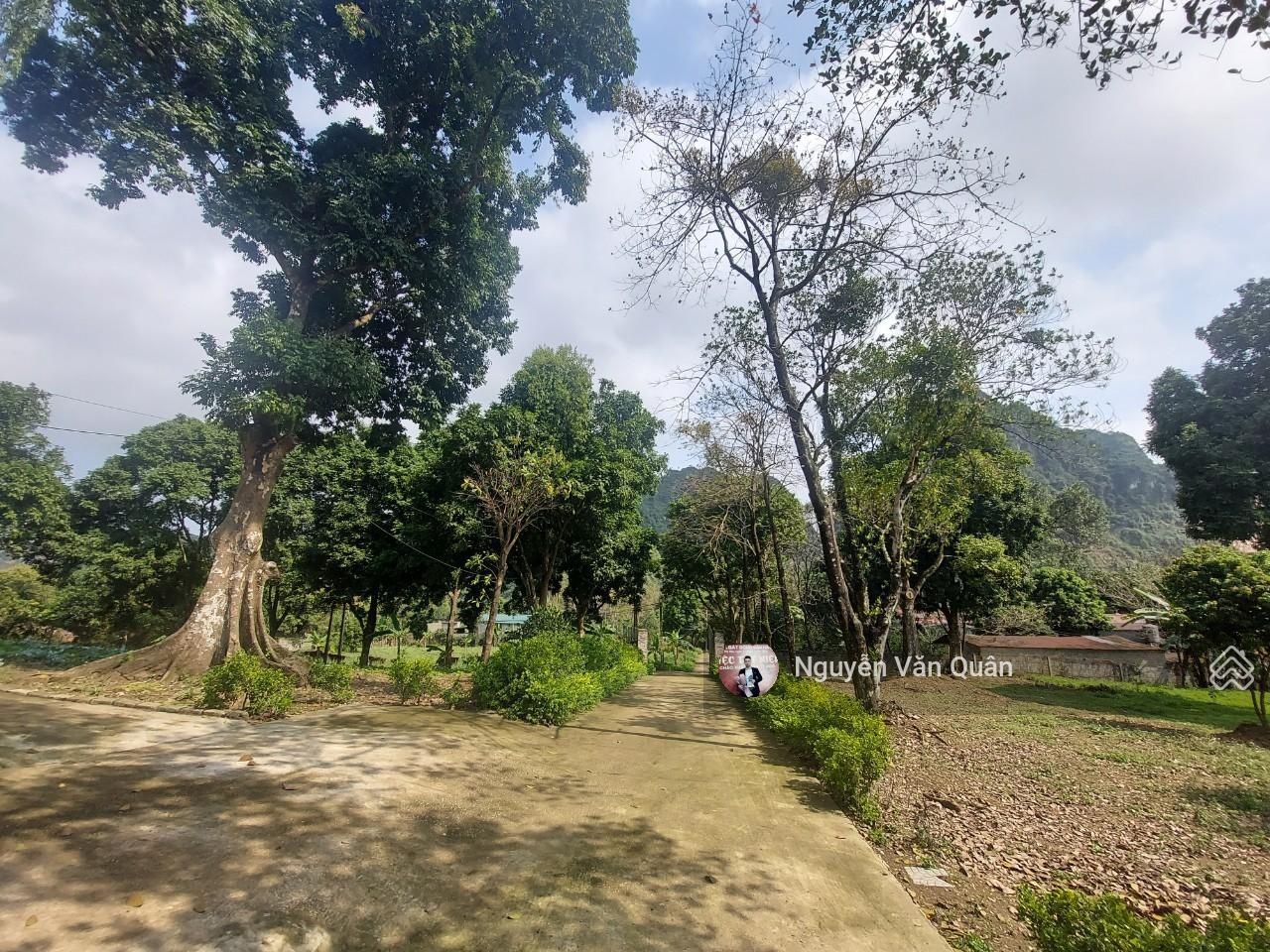 Giảm 3.5 tỷ từ 18.5 tỷ còn 15 tỷ! Sở hữu 14.500m2 nhà + khuôn viên sân vườn tại Lương Sơn