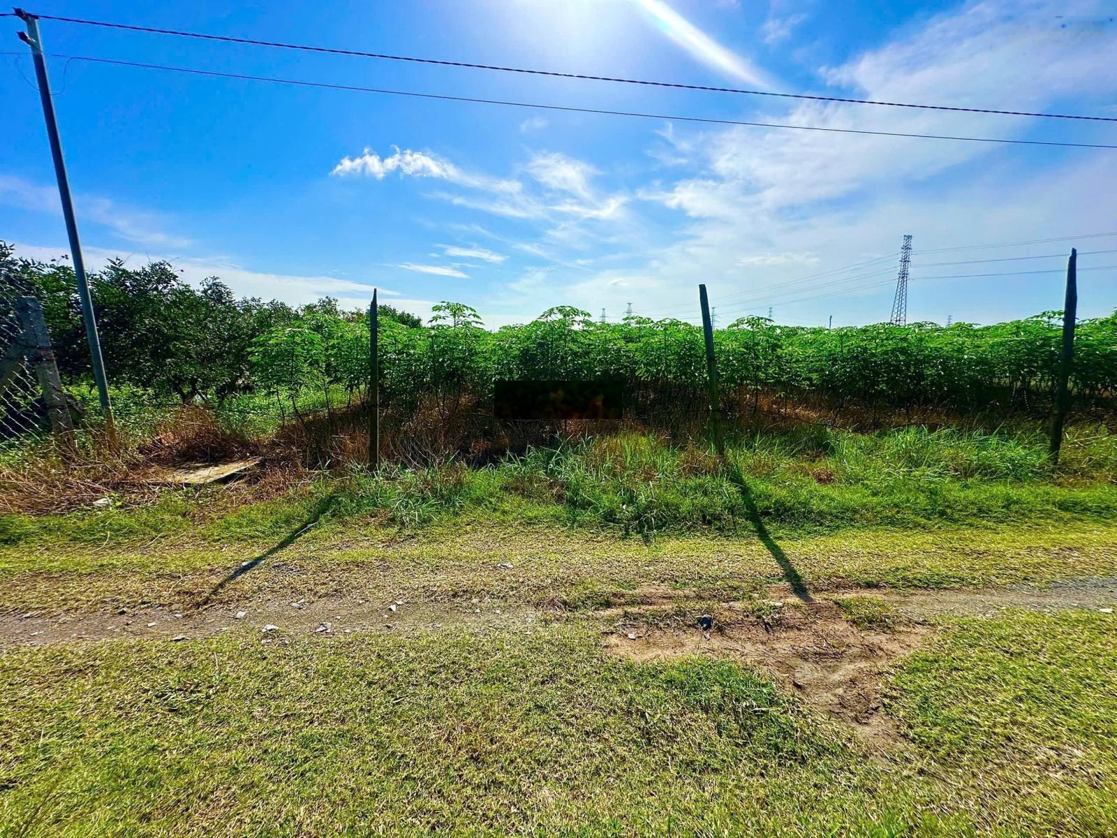 Đất full thổ sát bên KCN Phước Đông 4,8x35m, chỉ 730 triệu