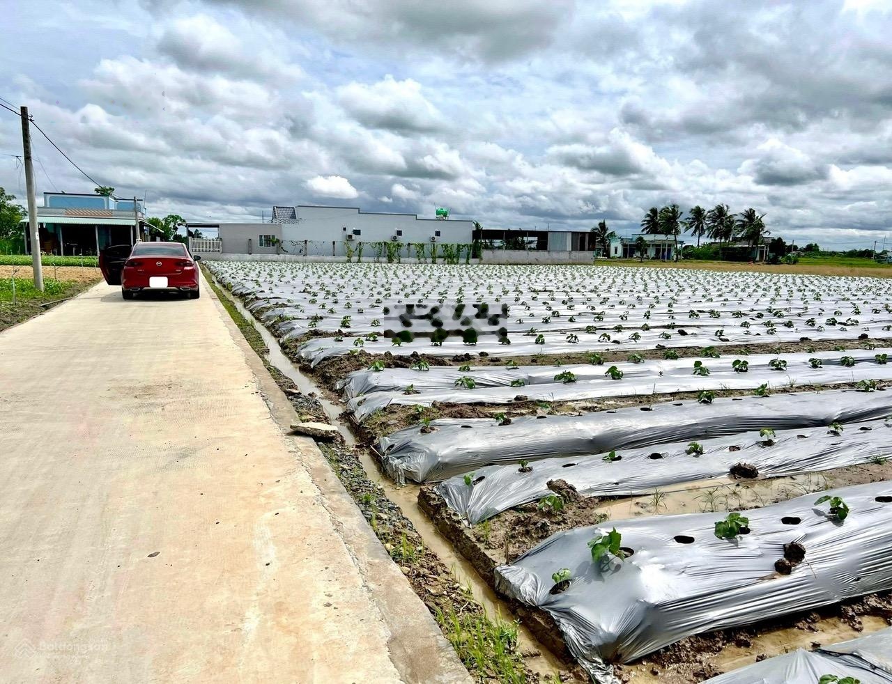 1.000m2 thổ - vườn (có bán lẻ 500m2) cặp sát TL873, cách TP Gò Công 700m