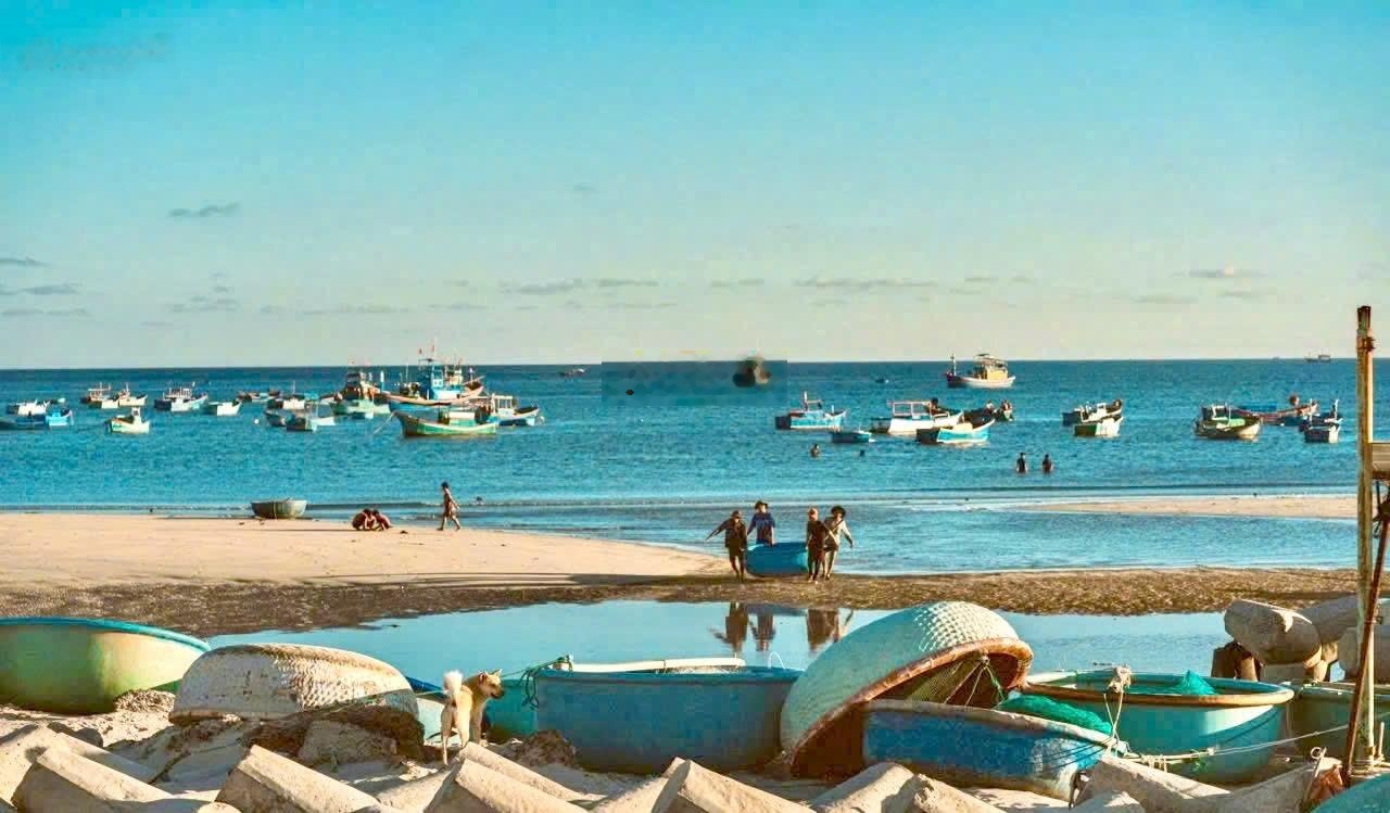 Đất thổ gần biển 100m - 114m2 - 1 tỷ 550 triệu