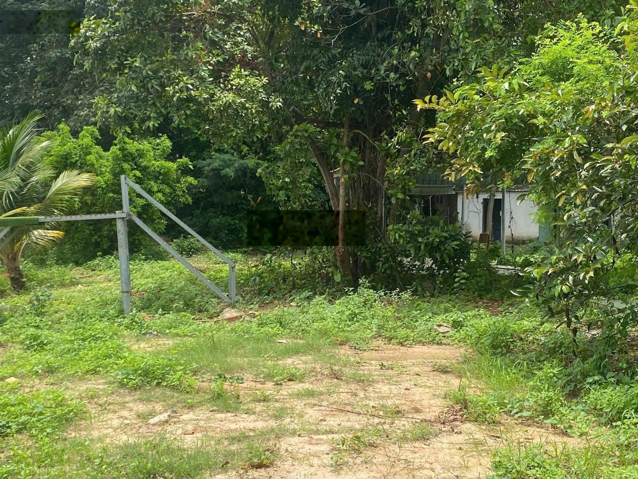 Cần bán miếng đất, sổ riêng 9600m2 (có 2000m2 thổ cư) mặt tiền giáp sông 150 mét