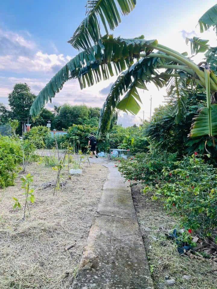 Bán đất ngay mặt tiền Tuyến tránh, Rạch Giá, thổ cư 550m2, chỉ 28.7 tỷ thương lượng