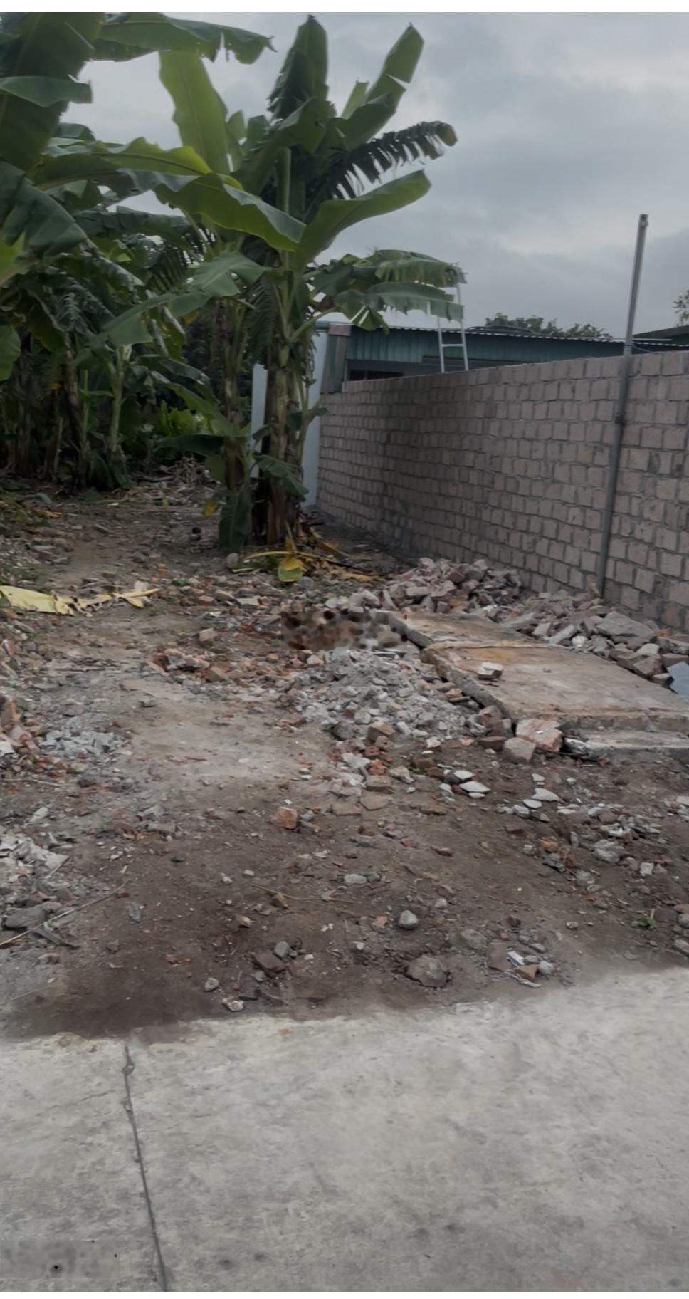 Bán đất Thụy Ninh - Thái Thụy - Thái Bình diện tích: 160m2. Giá 650 triệu sổ đỏ pháp lý đầy đủ