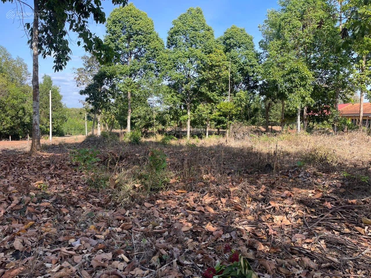 Bán gấp lô đất MT nhựa Xã Nha Bích , Thị Xã Chơn Thành Bình Phước DT 11957,8m2 , thổ cư 1.100m2