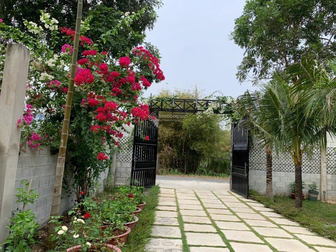 Chủ cần bán nhà vườn nghỉ dưỡng ,xã thái mỹ, củ chi dt 24x26(588m2)có 300 thổ