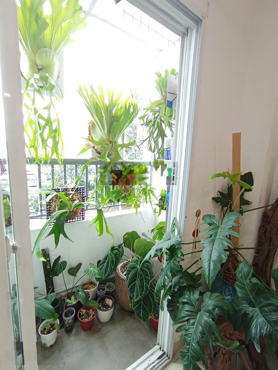 Cho thuê 2PN 2WC chung cư Soho Primier Bình Thạnh