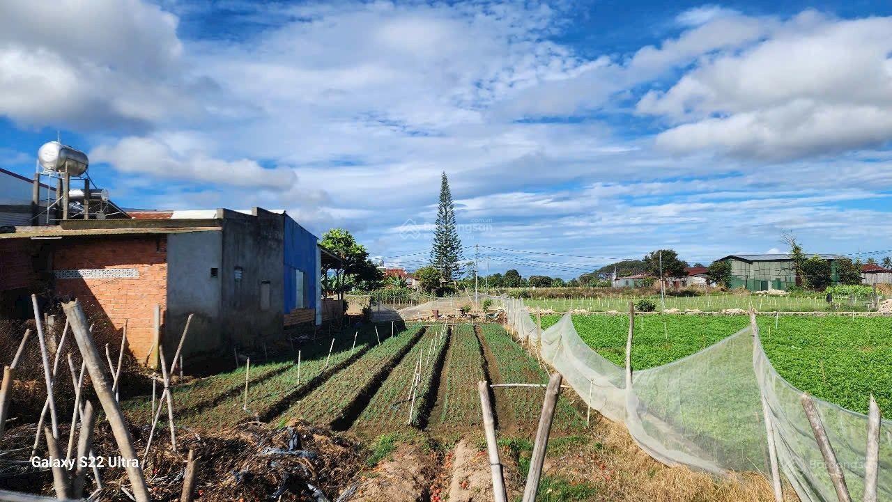 Bán đất 2 mặt tiền giá 1,2 tỷ, diện tích 190m2, hẻm đường Thống Nhất, xã Đức Trọng, Lâm Đồng