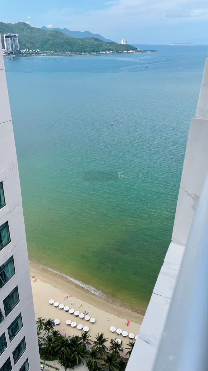 Căn hộ view xéo biển Mường Thanh Viễn Triều giá chỉ 3,35 tỷ tầng 39 căn 3924, tòa OC1B