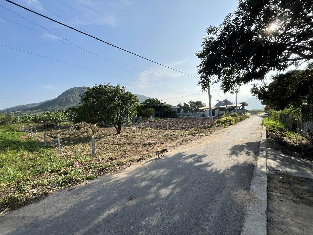 Chỉ 3.3 tr / m2 sở hữu đất xã Cam An Bắc - Cam Lâm, ngang 15 mét mặt tiền, đường quy hoạch 20 mét.