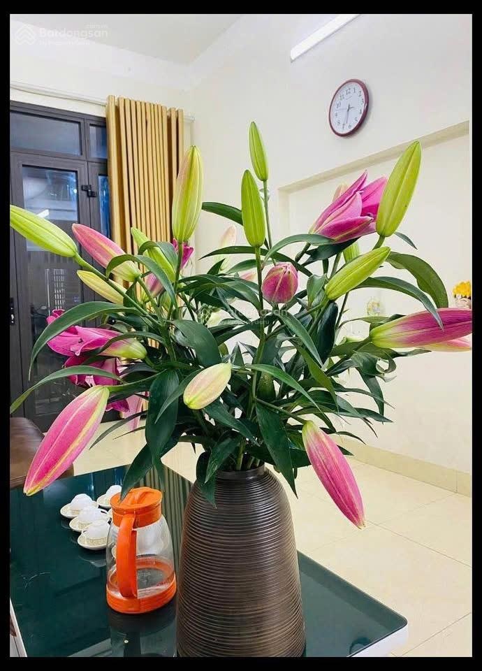 CHÍNH CHỦ bán gấp nhà 3 tầng, 70m2 tại Khu Bông Vải Sợi, Lai Xá, Hoài Đức - Cách ĐH Công nghiệp 1km