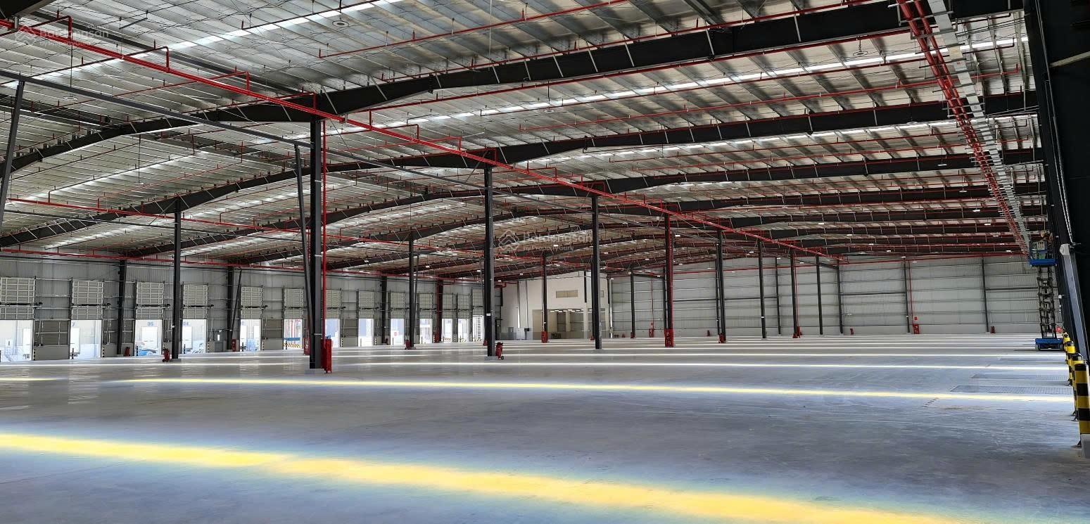 Cho thuê kho KCN An Phú Thạnh Bến Lức, Long An, PCCC tự động, DT: 5.000m2