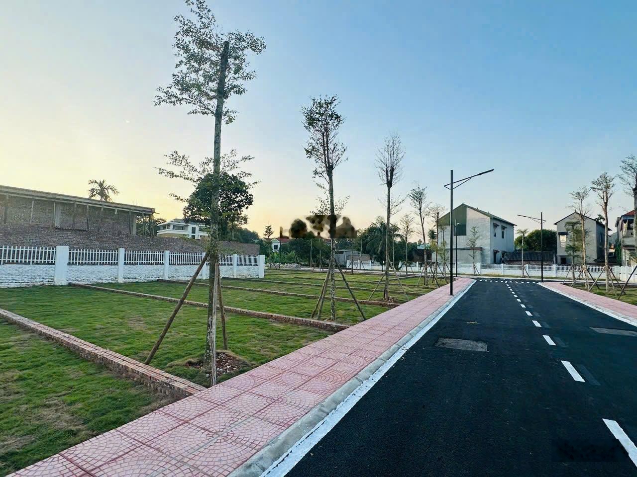 Tài chính nhỉnh 1 tỷ - mua chung cư hay mua đất nền ô tô đỗ cửa?