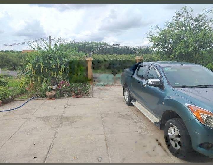 Bán trang trại cây ăn quả tại Xuyên Mộc.