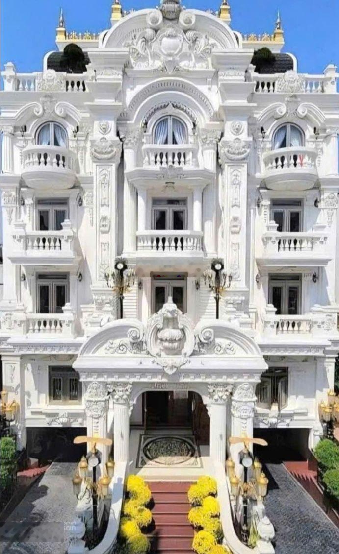 Biệt thự siêu sang 300 tỷ mặt tiền Trần Văn Kiểu, khu vip Bình Phú Q6