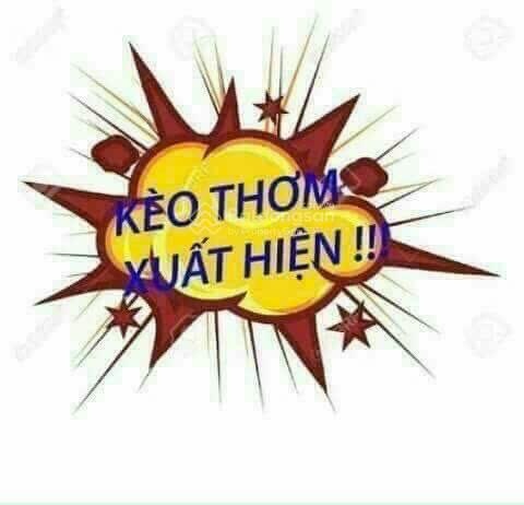 116m, cao xá, cao dương, thanh oai, giá 4xtr/m2, anh chị em đầu tư nhanh tay vụt ngay kẻo hết