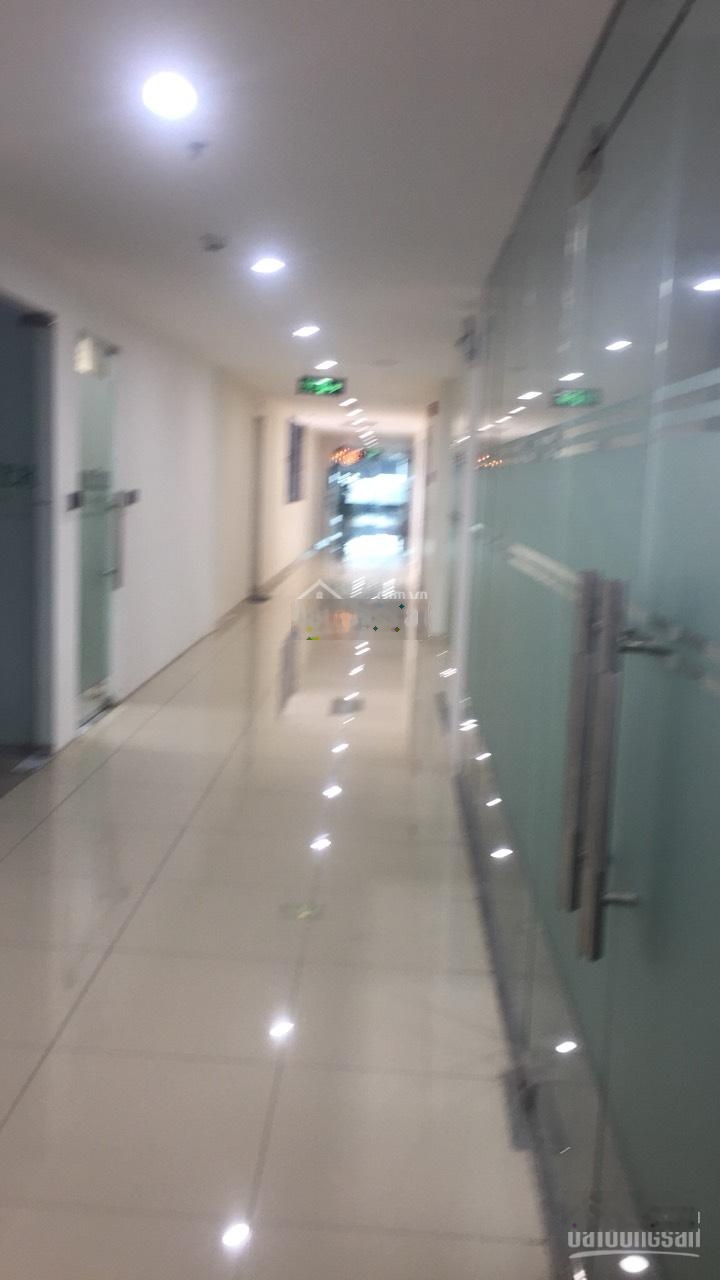 Cho thuê VP tòa Báo Nông Thôn Ngày Nay 68 Dương Đình Nghệ, Cầu Giấy 60m2, 150m2, 600m2, 130k/m2