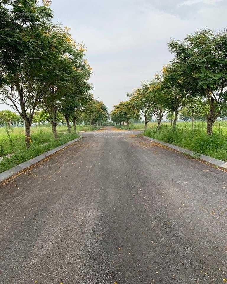 Bán đất nền biệt thự liền kề Minh Giang Đầm Và Xã Tiền Phong, Mê Linh, Hà Nội. Giá từ 30 tr/m2