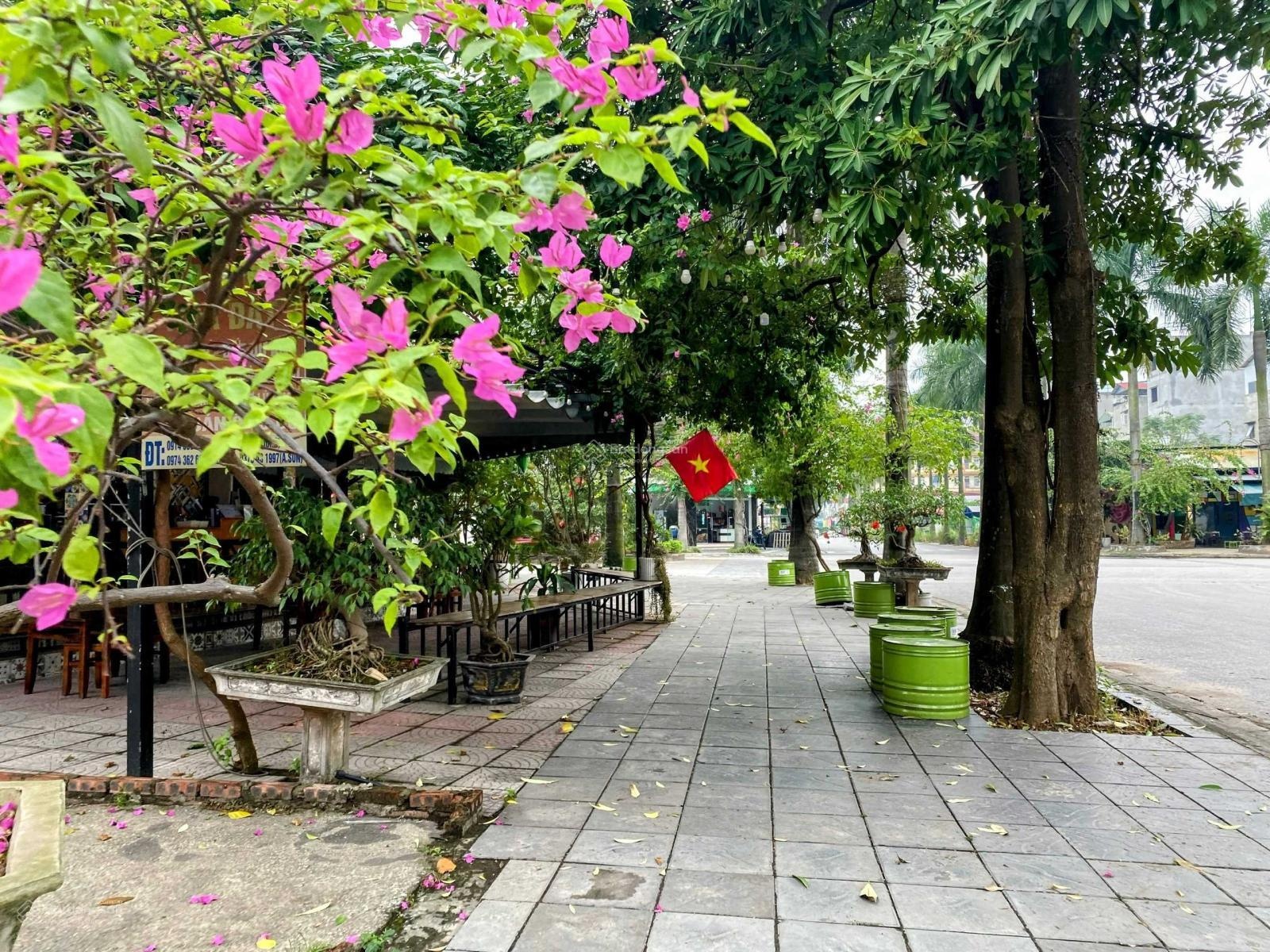 Chính chủ bán đất KD quán coffee đỉnh - 1 mặt đường vào Hồng Hạc City, 1 mặt KĐT Khai Sơn 260m2