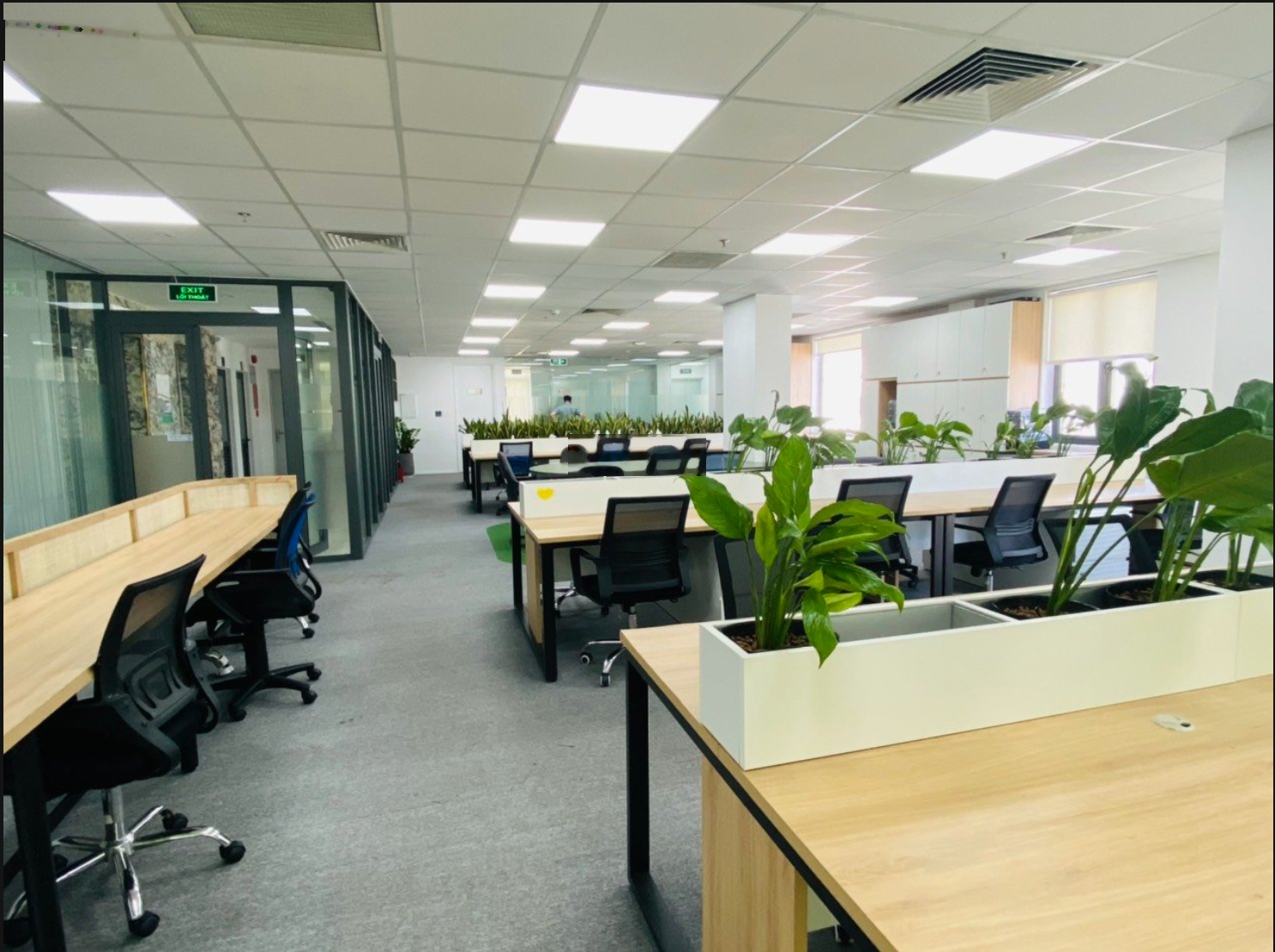 Văn phòng 100m2 - 150m2, MT Phan Đình Giót - Trường Sơn, P. 2, Quận Tân Bình