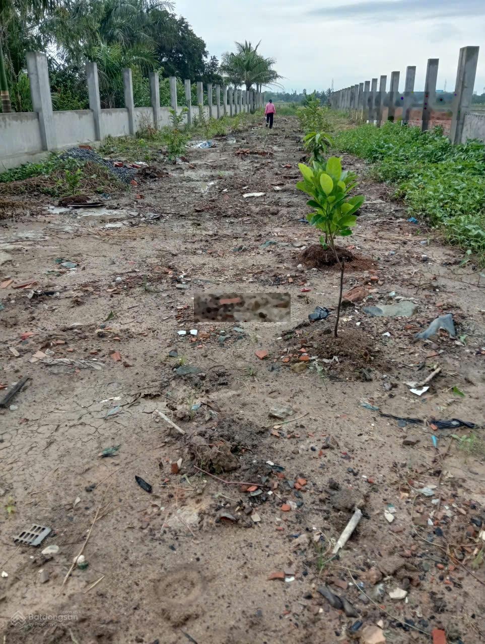 Bán đất trồng cây lâu năm mặt tiền đường Trương Văn Đa