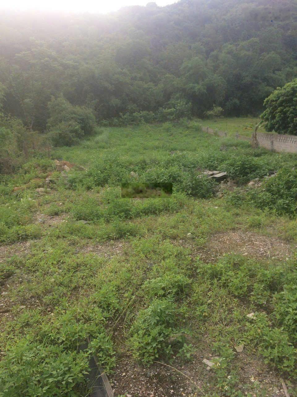 Cần bán gấp lô đất giảm 2 tỷ diện tích 2300m2, lô đất đẹp đường 20m phường Đông Sơn, Bỉm Sơn