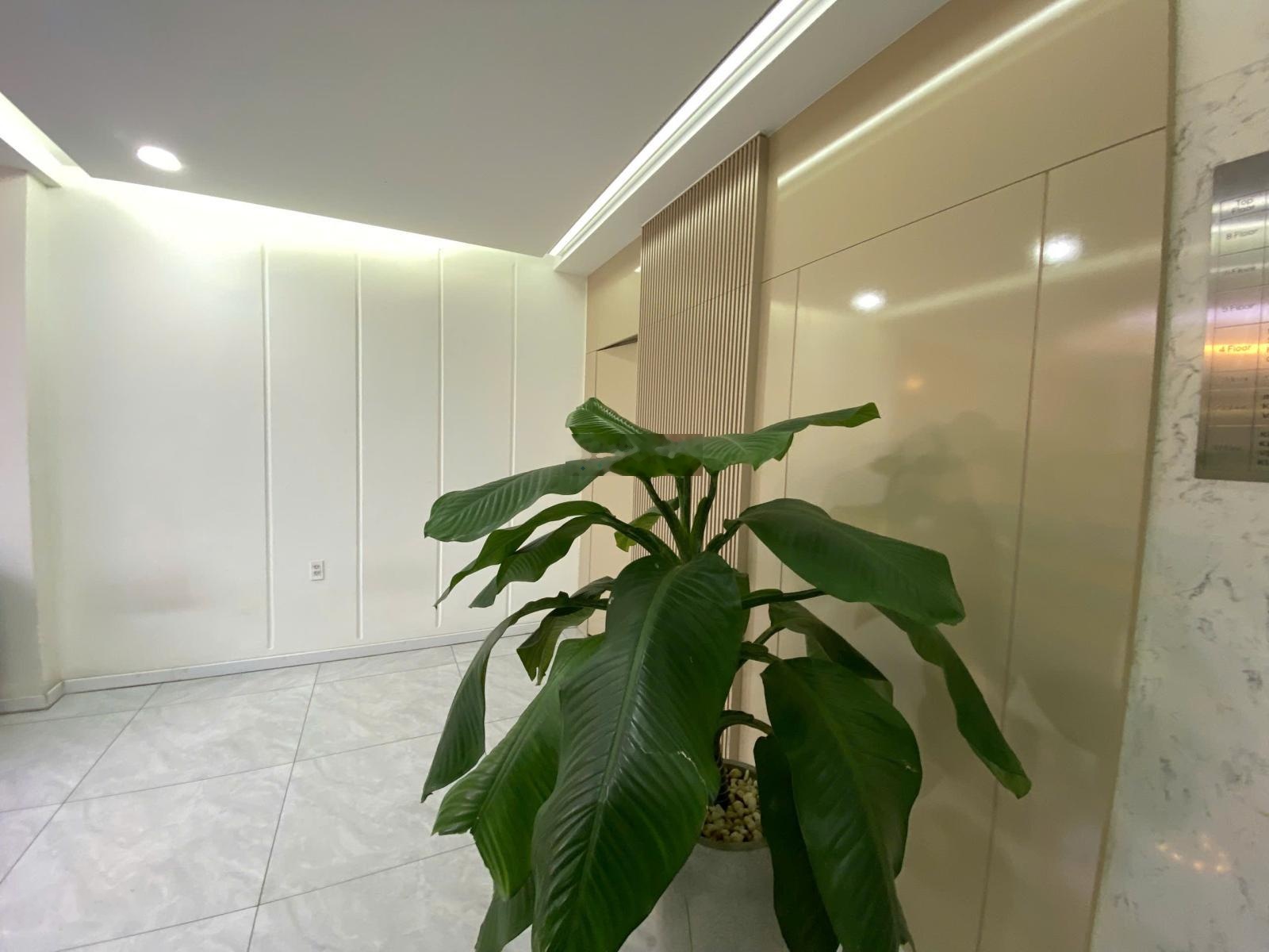 2MT Tân Hương 1200 Hầm 7 Tầng giá tốt