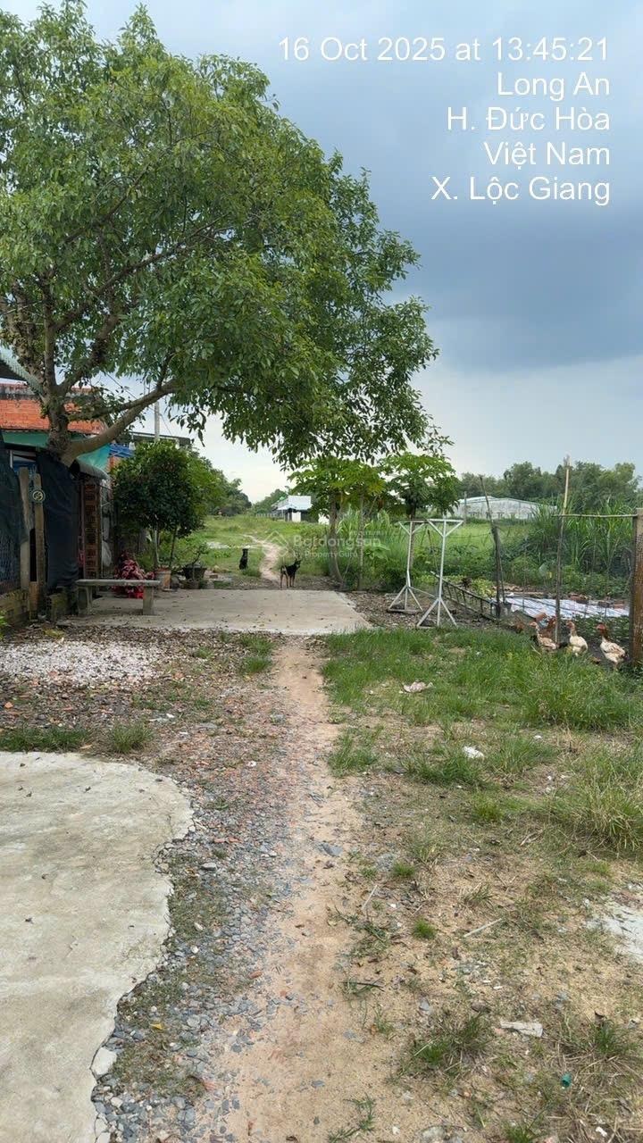 Bán đất hẻm xe tải, đường Hồ Chí Minh, 39,5 tỷ, 18000m2, uy tín hot