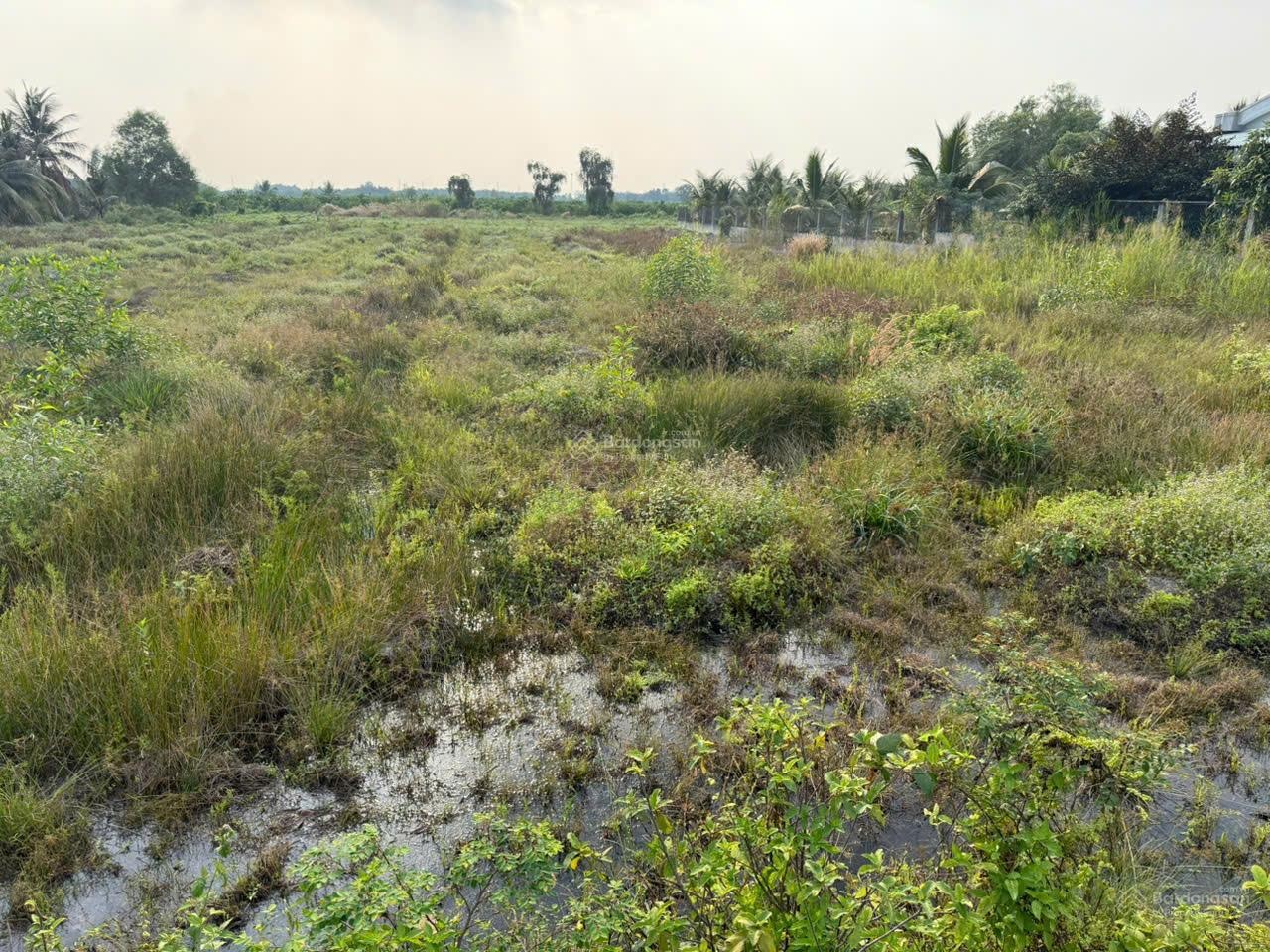 Chủ cần bán gấp lô đất MT lộ liên ấp, DT 1460m2 giá 3 tỉ