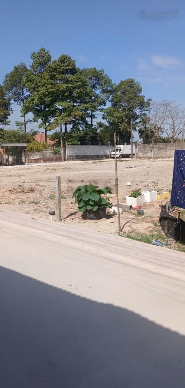 Đất cách quốc lộ 51 khoảng 300m, đối diện khu công nghiệp long thành và kcn long đức