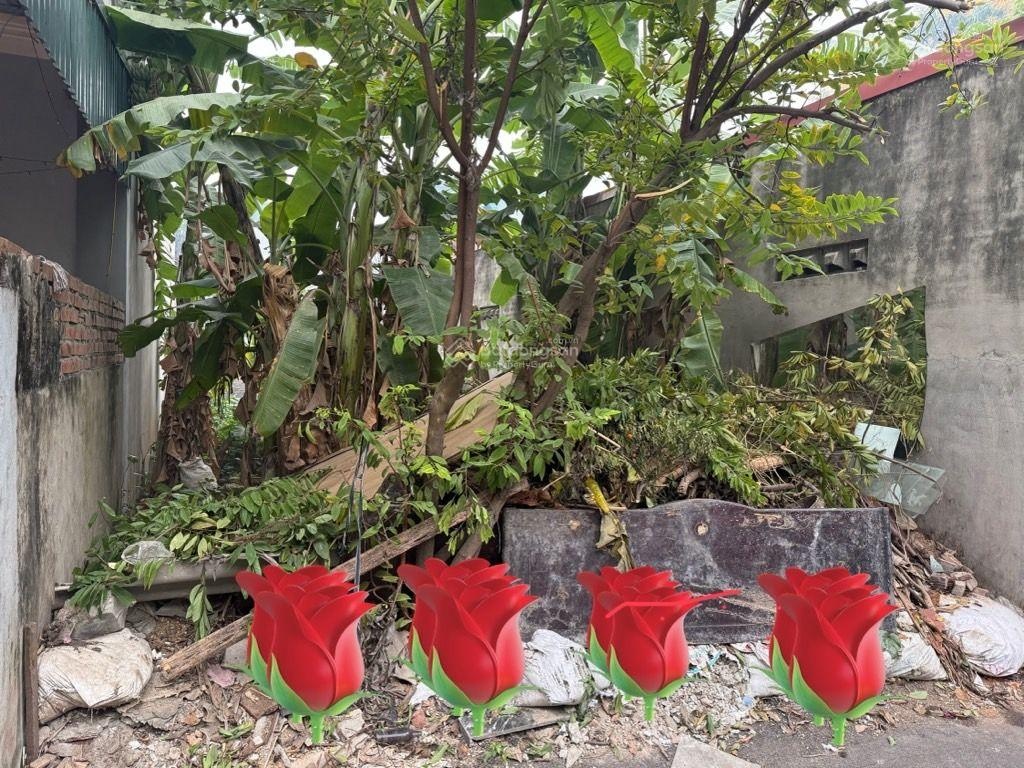 Siêu phẩm Phúc Lợi, 103m2, mt4.5m, ôtô thông, nhỉnh 14tỷ