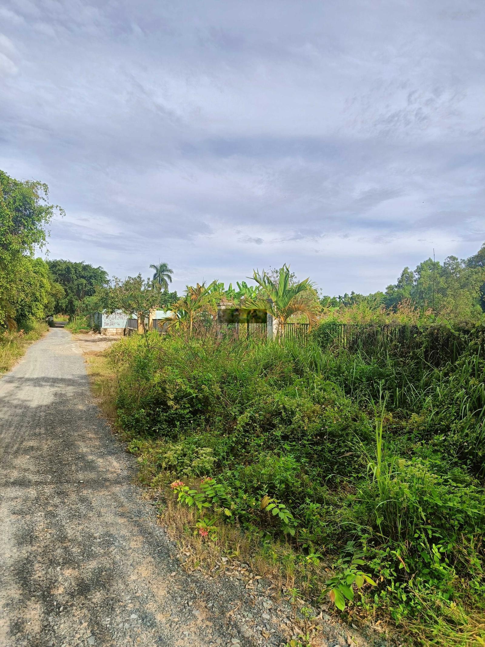 518,4m2 Đất vườn đường Số 5, P Long Phước, Tp Thủ Đức, TP HCM